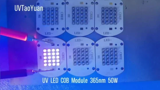 50W UV COB 青色 LED チップ 455